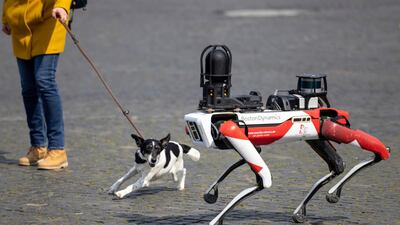 Spot, a robot with dog-like movements, walks past a dog in Cathedral Square in Erfurt, Germany. AP Photo