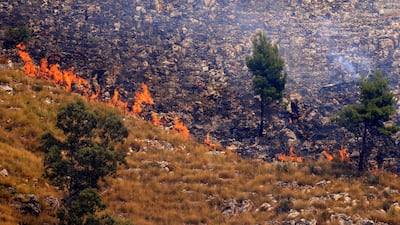 This photograph shows a wildfire burning trees and grass in Sagana in the territory of Monreale, Sicily. AFP