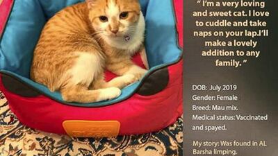 Courtesy Red Paw Foundation