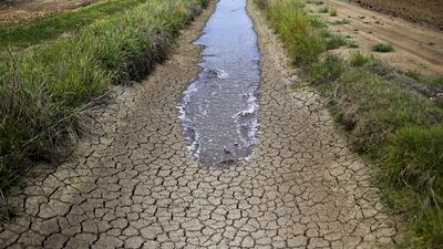 To satisfy California’s unquenchable thirst, the Golden State has introduced laws that for the first time impose water restrictions on supply agencies. Farmers are also required to report their water use in the drought-stricken state. Jae C Hong / AP Photo