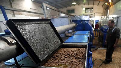A man looks at preserved olive during a rural products and olive festival in Irbid city. Muhammad Hamed / Reuters