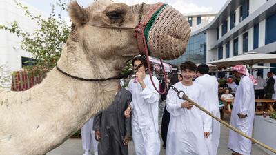 The school had a camel on campus for Union Day celebrations at Bloom World Academy. Antonie Robertson/The National