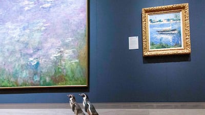 The penguins also saw the work of Impressionist Monet: his famous 'Water Lillies', featuring flowers rendered in soft hues of white and violet. Media Services photographer / Gabe Hopkins
