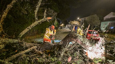 Council workers clear fallen trees from a road after Storm Goretti passed through in Falmouth, in Cornwall, south-west England. Getty Images