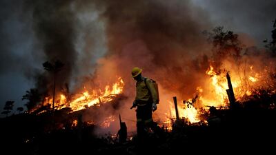 A Brazilian Institute for the Environment and Renewable Natural Resources fire brigade member attempts to control a fire in a tract of the Amazon jungle in Apui, Amazonas State, Brazil, August 11, 2020. Reuters