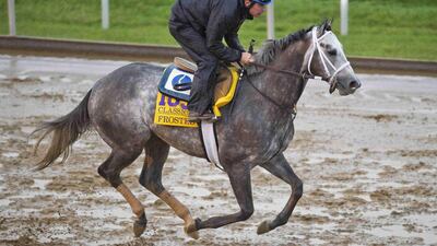 Frosted, trained by Kiaran P. McLaughlin and owned by Godolphin Racing LLC, exercises in preparation for the Breeders' Cup Classic at Keeneland Race Track in Lexington, Kentucky on October 28, 2015. Scott Serio/ESW/CSM (Cal Sport Media via AP Images)