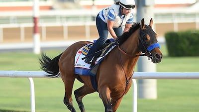 Hopportunity during trackwork at Meydan before the Dubai World Cup. 22 March 2016. Photo Courtesy: Mathea Kelley/Dubai Racing Club