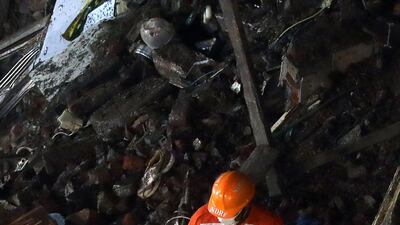 A rescuer uses a sniffer dog to look for survivors. Reuters