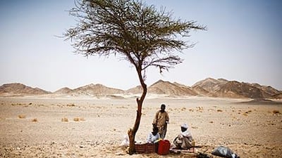 All photographs: Jason Larkin