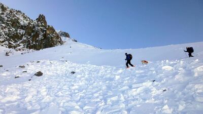 Search and rescue volunteers, along with an avalanche dog, search debris in an avalanche field for a missing skier on Imp Peak in the southern Madison Range in south-western Montana. The body of Inge Perkins was recovered. After losing his girlfriend in the avalanche, Hayden Kennedy "chose to end his life" the following day.