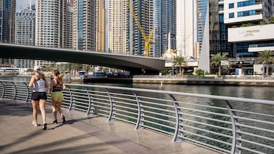 The tenant must ensure that the lease is registered on the Ejari portal in Dubai or relevant registry of tenancy contracts. Bloomberg