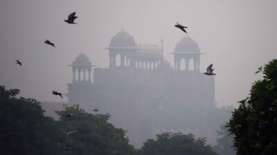 Birds fly past the Red Fort as smog envelop the old quarters of New Delhi on November 6, 2017. / AFP PHOTO / DOMINIQUE FAGET