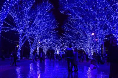 A general view of Holiday illumination is seen at the Yoyogi Park in Tokyo, Japan. Getty Images