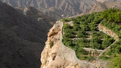 Watered from natural sources using traditional irrigation channels known as falaj, approximately 4,000 individual rose bushes thrive in Jebel Akhdar, also known as the green mountain, in the steep terraced villages of Al Aqer, Al Ayn, Saiq and Al Shuraijah.