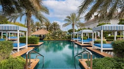 The pool is surrounded by greenery, sun loungers and daybeds. Photo: Al Habtoor Polo Resort