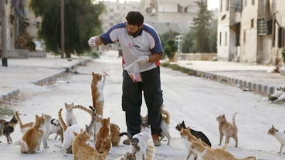 Alaa, an ambulance driver, feeds cats in Masaken Hanano in Aleppo. HE buys about $4 of meat everyday to feed about 150 abandoned cats in Masaken Hanano, a neigbourhood in Aleppo that has been abandoned due to the conflict. Hosam Katan / Reuters