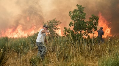 A fire raging in Guarda, Portugal. EPA