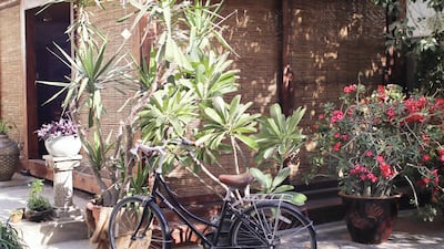 Guests can take part in wellness activities at Seva Studio, enjoy plant-based bites at Seva Table or pick up ethical products from Seva Shop