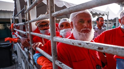 Butchers wait for livestock to be processed.