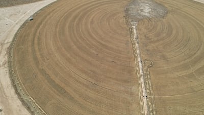 Iraq's government says the move has more than doubled wheat-cultivated areas to 850,000 hectares