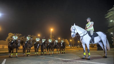Police horses have seen their role expanded from solely cricket and football games to street patrols