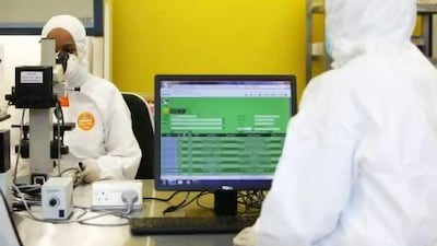 A lab technician working in the new Central Veterinary Research Laboratory in Dubai. Pawan Singh / The National