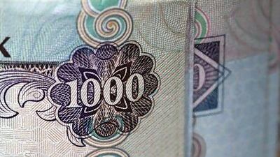 The UAE Government injected billions of dirhams during the financial crisis in 2008 and 2009 in an effort to steady local lenders' balance sheets. Silvia Razgova / The National