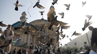 Pigeons fly outside Shah-Do Shamshira Mosque in Kabul, Afghanistan, on June 5, 2018. Rahmat Gul / AP