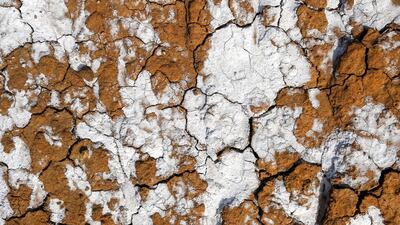 A detail of the ground in the Aktau mountain range within Altyn-Emel national park. Shamil Zhumatov / Reuters