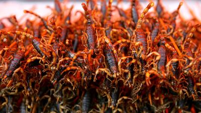 Fried scorpions for sale in China. Getty Images