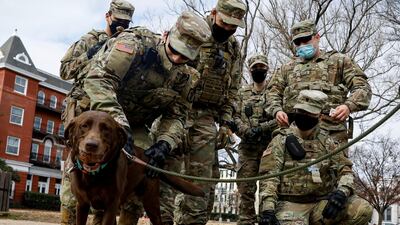 Members of the National Guard greet a dog while they spend time in Lincoln Park. Reuters