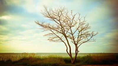 Amity Gaige's novel about the abduction of a six-year-old child by her father and their ensuing road trip is set in upstate New York and sections of New England and Pennsylvania. Andria Patino / Corbis