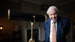 David Attenborough has spent decades bringing the natural world to television screens through his popular wildlife documentaries. Getty Images