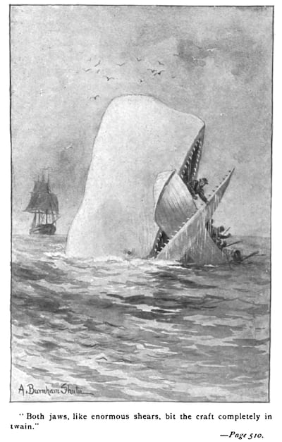 An illustration from an early edition of Moby-Dick. Photo: Wikimedia Commons