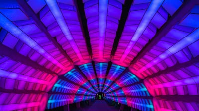 A kaleidoscope of colour shines bright