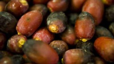 The Liwa Date Festival, a 17-day extravaganza in Abu Dhabi's western region that began on Thursday, celebrates one of the biggest industries in the area.