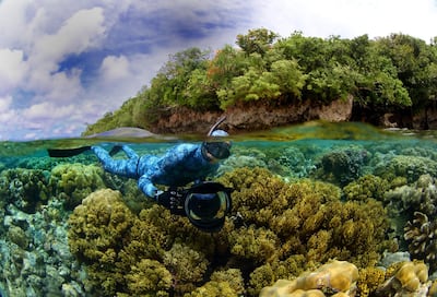 An image of Enric Sala from National Geographic Pristine Seas. Photos Manu San Felix / National Geographic