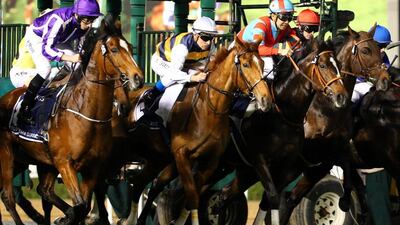 Jockeys compete to win the Dubai Sheema Classic race, during the Dubai World Cup horse racing event on March 26, 2016 at the Meydan racecourse in the United Arab Emirate of Dubai. AFP / MARWAN NAAMANI