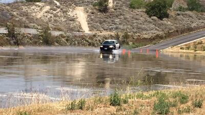 The security support unit at Abu Dhabi Police training with the Los Angeles Police Department.