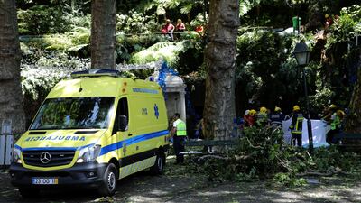 Firefighters cover victims of a tree that toppled into worshipping crowds during a religious festival in Funchal, Madeira island, Portugal. Duarte Sa/ Reuters