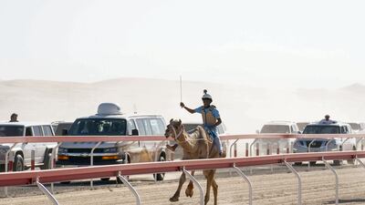 The camel race in Remah. Ministry of Presidential Affairs