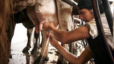 Egypt, the region's most populous country, has among the lowest milk consumption rates per capita in the world.