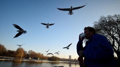 Seagulls fly over a man having a hot drink next to the Serpentine in Hyde Park, in London. Clodagh Kilcoyne / Reuters