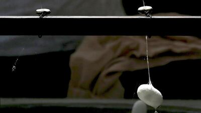 A frame spins a thread of silk from a cocoon on an antique loom. Alessandro Bianchi / Reuters