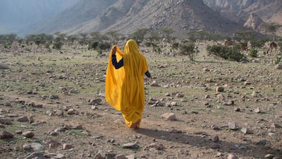 A woman visiting from Shalateen walks by the mountains. According to the Egyptian Environmental Affairs Agency’s studies, the tribal women build “portable matting houses” for their families to lives in until they migrate elsewhere, especially when scorching summer sun starts to creep in. Photo / Jihad Abaza
