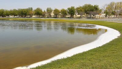 A reader calls for maintenance of the lake at Meadows 9 in Dubai, which poses a health risk. Jeffrey E Biteng / The National