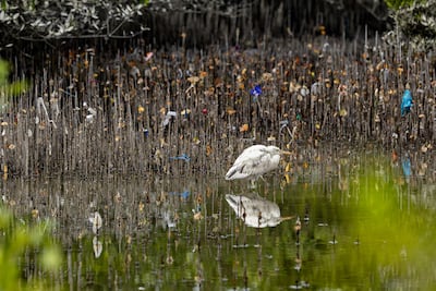 Highly commended: Grace Among the Waste, by Abdulla Alkoheji