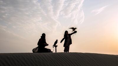 Osha has three falcons and a saluki named Nahab. Vidhyaa Chandramohan for The National