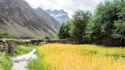 Police have arrested 17 people suspected of involvement in the latest shooting in the Gilgit-Baltistan region. Alamy