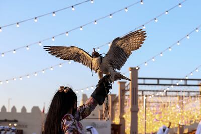 Falconer Alia Obaid, 8, from Madinat Zayed, at Al Dhafra Festival in Abu Dhabi. Falconry is an age-old tradition in the UAE and neighbouring countries. Khushnum Bhandari / The National